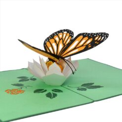 Bulk-Animal-Butterfly-3D-popup-greeting-card-Manufacturer-01