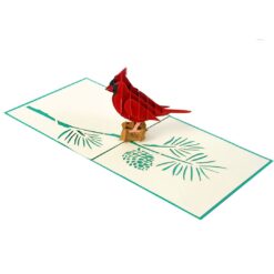 Wholesale-Animal-Cardinal-bird-3D--Greeting-cards-manufacturer-02