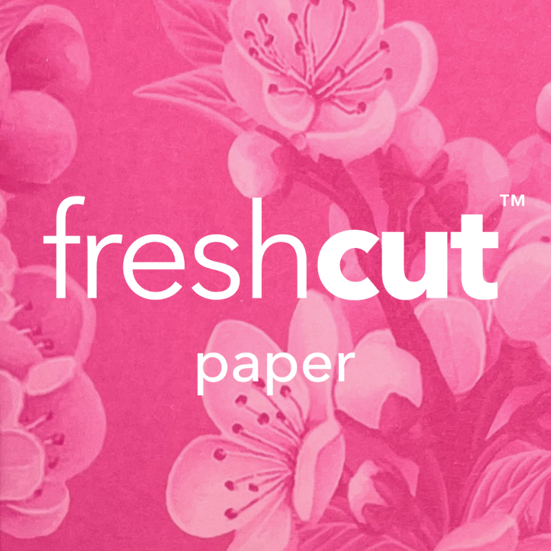 Top-Greeting-Card-Companies-FreshCut-Paper-HMG-Pop-Up-Paper-2
