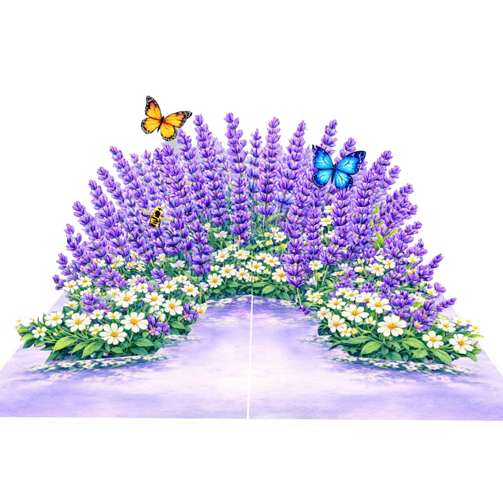 3D-greeting-card-garden-Pop-up-daisies-lavender-for-Mothers-Day-01