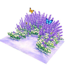 3D-greeting-card-garden-Pop-up-daisies-lavender-for-Mothers-Day-02