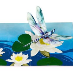 Dragonfly 3D Pop up Greeting Cards and water lily