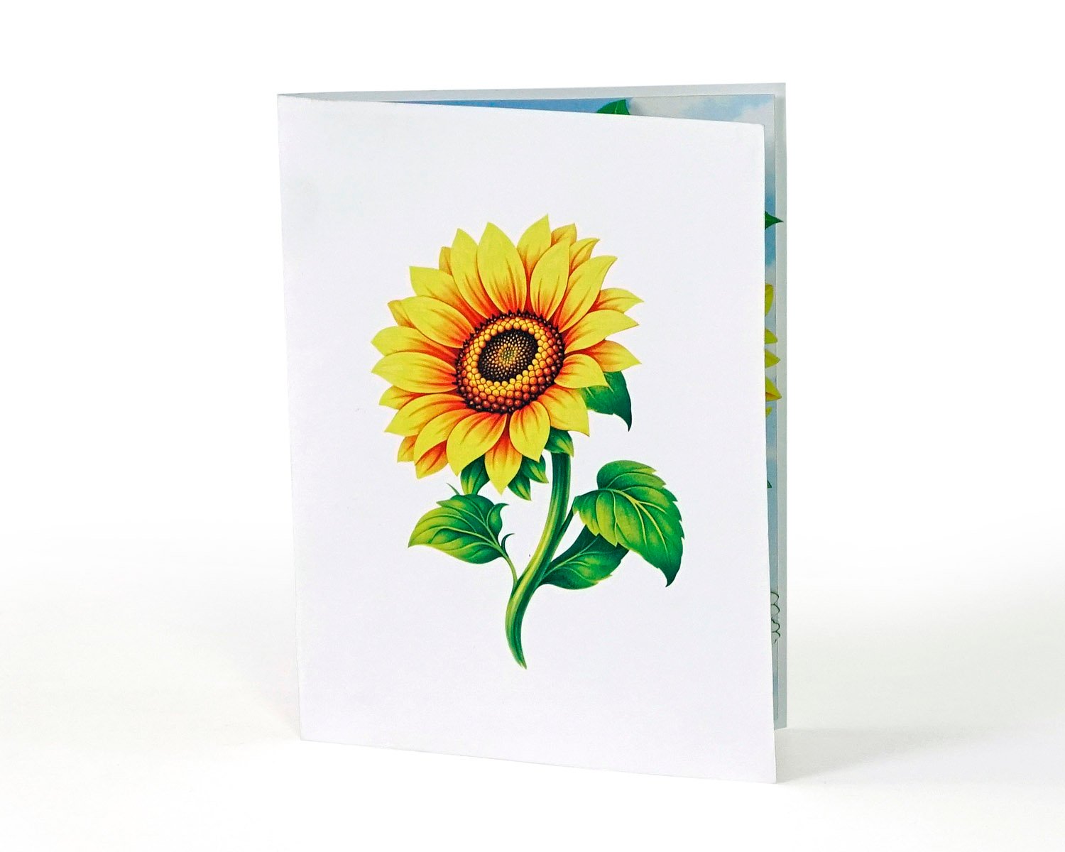 3D bouquet Greeting card Flower Paper 2