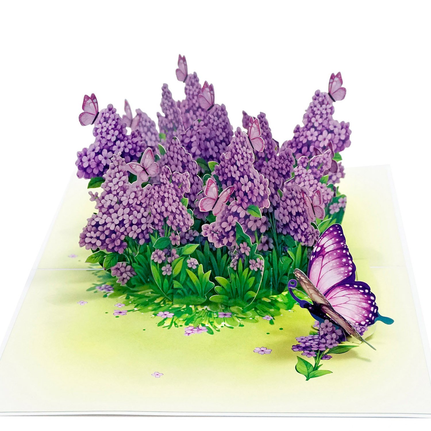 flower greeting cards 08