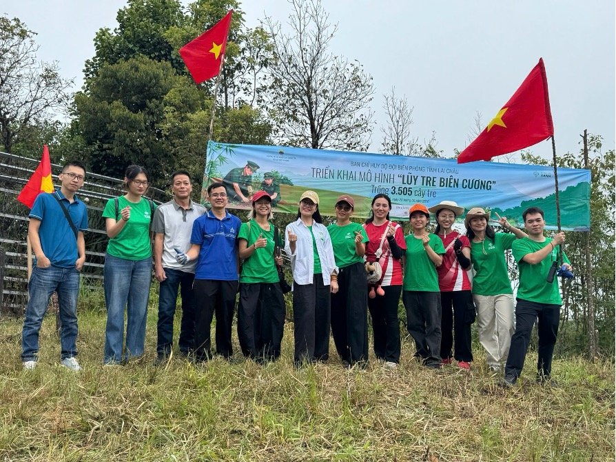 Border Bamboo Rampart - HMG 3