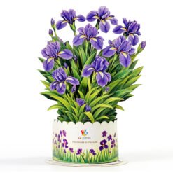 Flower Bonquest 3D Pop Up