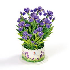 Flower Bonquest 3D Pop Up