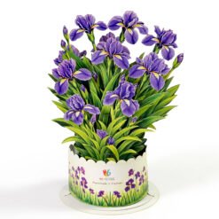 Flower Bonquest 3D Pop Up